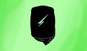 Black Hypervolt 3.0 Pro EV charger on green background